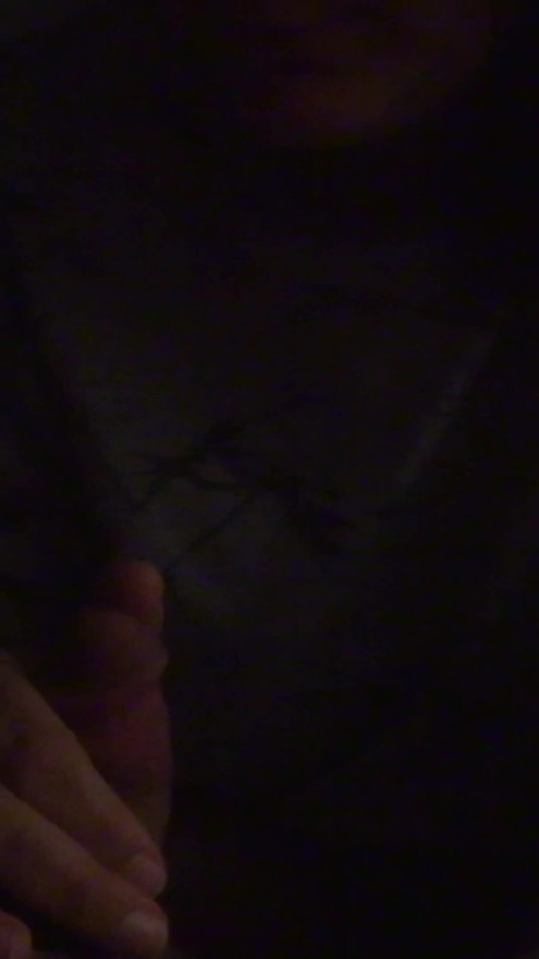 Wife Giving Me a Blowjob. We Where Testing Out a New 4K Camera