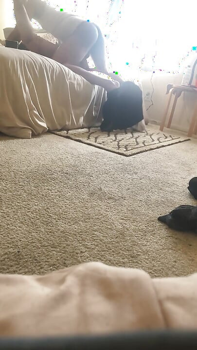Big Dicking the Pussy