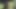 Watch me swallow my friend's huge, thick black cock with a yellow boxer.