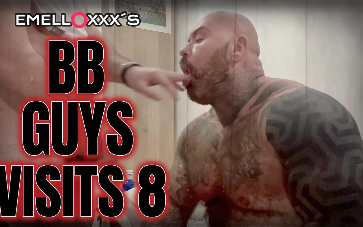 Bb Guys Tours 8