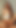 小柄なラティーナの上司が、私に乱れたフェラチオをしてくれて、私の大きなチンコを机の上で乗せて、私が彼女の胸にイくまで続けます