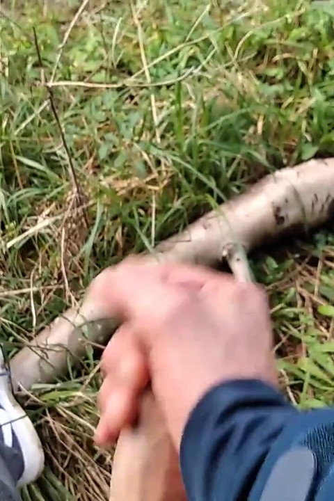 The Horny Stepfather Went on a Hike, When He Took Out His Bonita Cock a Tick Fell on His Cock