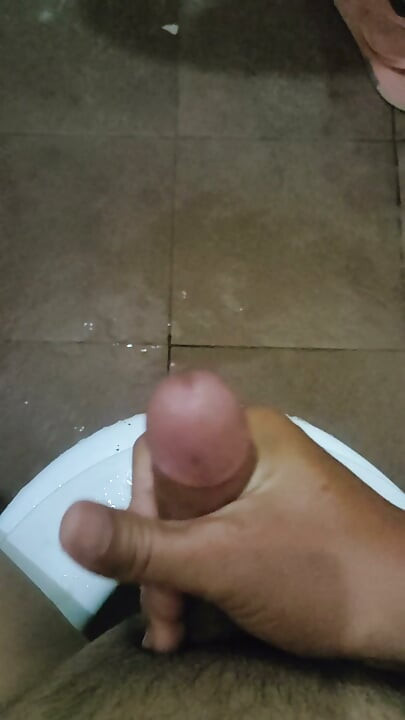 Malk min pik, skat