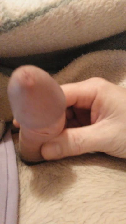 mi polla