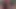 BIG ASS PORNO VIDEO JOCKERS COCK: HOT TRANS