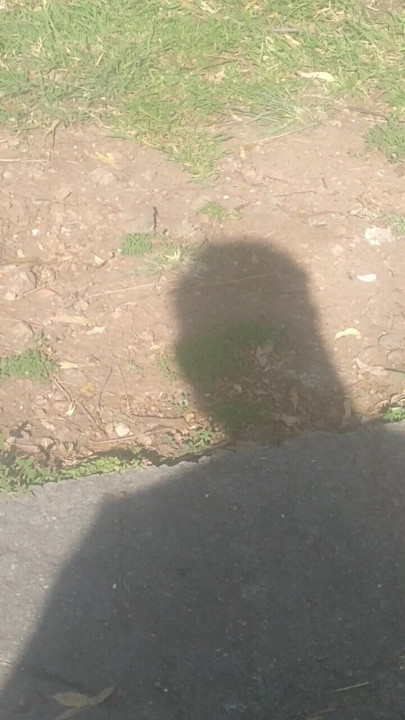 Hehehe my shadow is very beautiful 😊