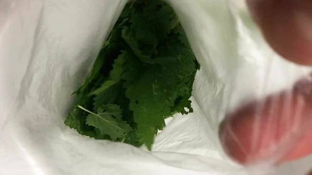 Nettle bag