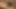 WILD LIFE, HOT INTENSE SEX, SWEET INTENSE PLEASURE, HARD SEX