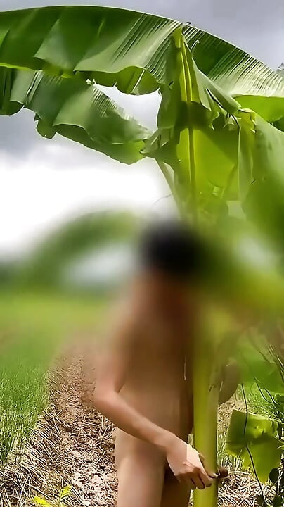 Thai guy fuck banana tree