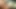 Porno Dan vibratörle Carmen Callaway'i domine ediyor, şaplak atıyor ve boşalıyor!