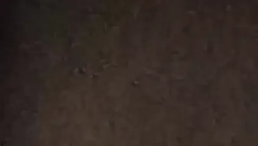 Indian Girl's Pussy Is Amazing Like Sunny Leone's Pussy