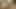 Lina Romay Blowjob Compilation
