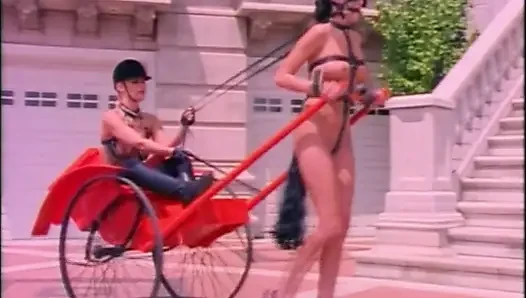 The best international porn from THE HUNTER COLLECTION NETWORK
