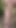 What would you do if you met me like this in the middle of the forest? - Milky Mari