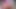 HAIRY ANAL! Big ass PAWG fuck hairy asshole with dildo. Enjoy gaping, hairy holes and doggy. Perfect view on big booty