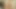 Camera man! Please cum in me, OMG! pump loads of sperm deep inside my big  juicy wet pussy, hurry up and fuck me hard, close ups