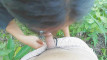 Pratonton Video