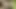 Suman yenge sert yağlı amcığını sikiyor