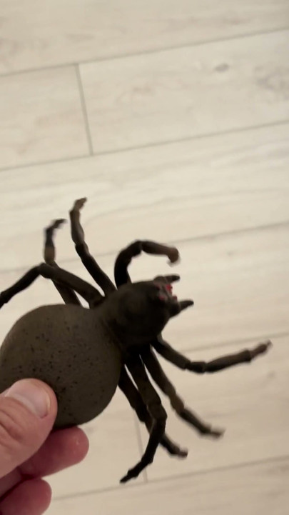 Coloquei uma aranha na cama da minha colega de trabalho como brincadeira, e o que aconteceu depois foi exatamente o que eu queria | Clipe 1