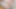 Xxl Dildo Make Me Squirting When I Fuck My Ass Hard and Suck a Cock