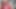 Sushi destroyer teaser