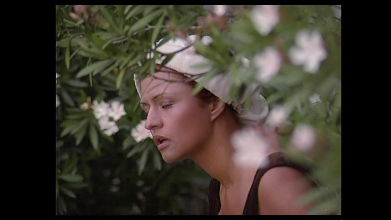 Robin Hood - 第5集