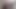 Young  bear masturbation