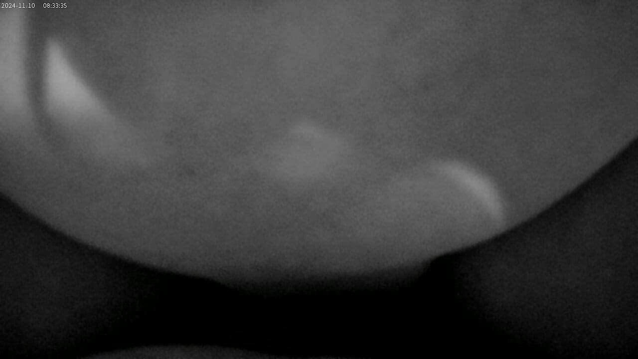 Culona máquina de sexo y semen