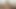 تتمتع جبهة مورو اليابانية المشعرة بذروة شديدة وعاطفية