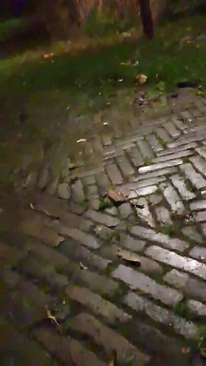 Slutboyben Cam4 Brainfukked Outdoor Pig I Complete Public Cam4 Show