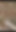 Huge 9 spurt cumshot in the woods