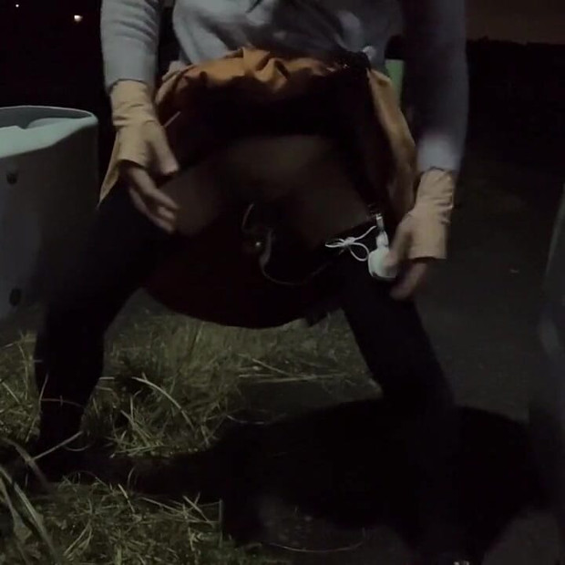 自主トレーニング No32 夜間の散歩でわんわんポーズ