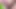 202305_Nettles