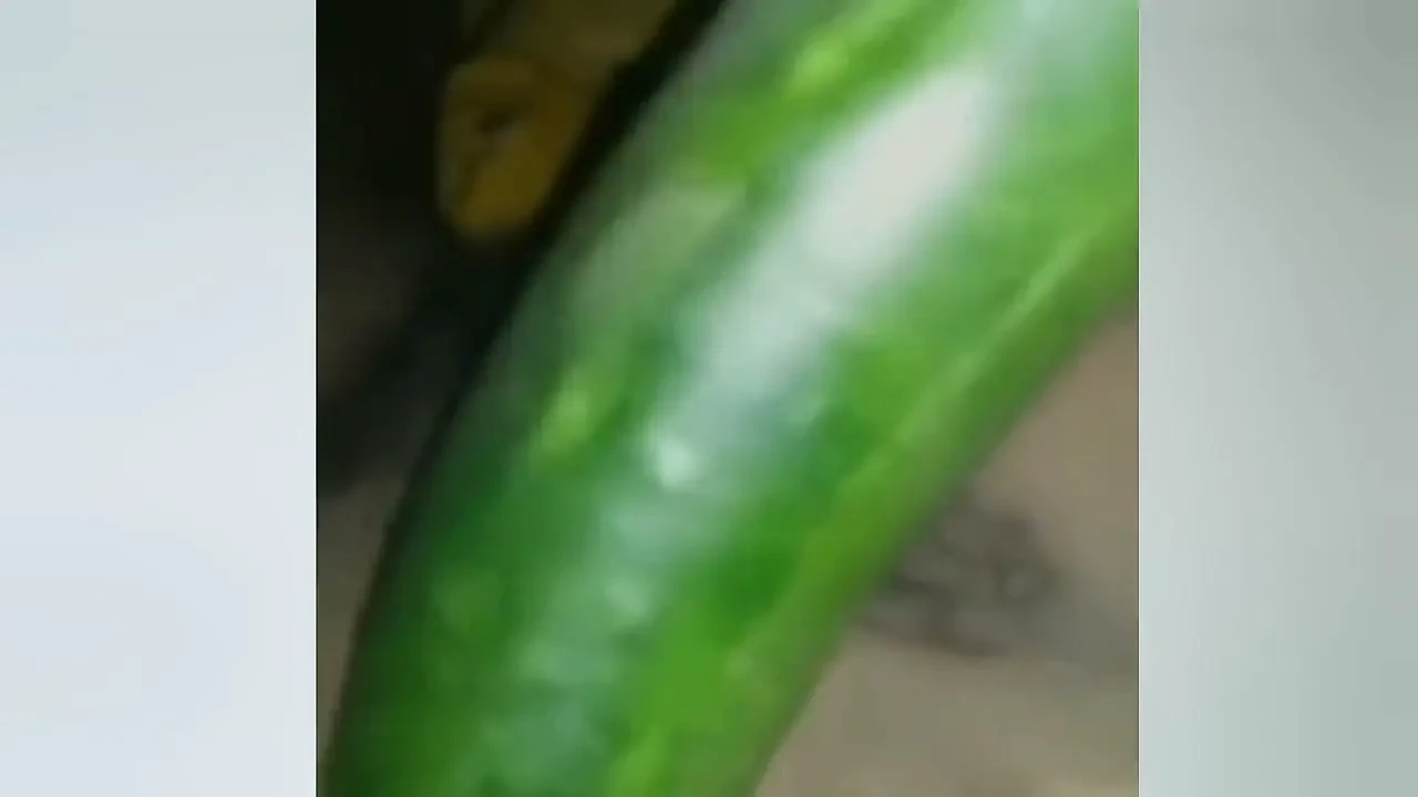 A young woman, suffering from the pain of not having her partner near her, is inserting a cucumber into her pussy.