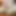 トビー・ナッシュ、バニーガールと俺がソファでセックスしてる!