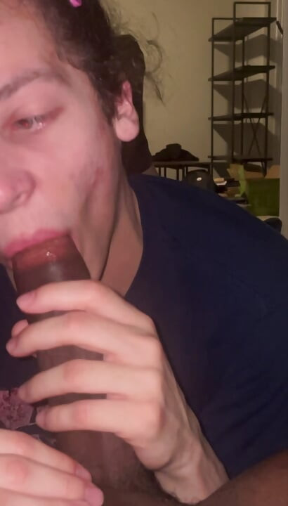 Plavooka slatkica sisa na velikom crnom