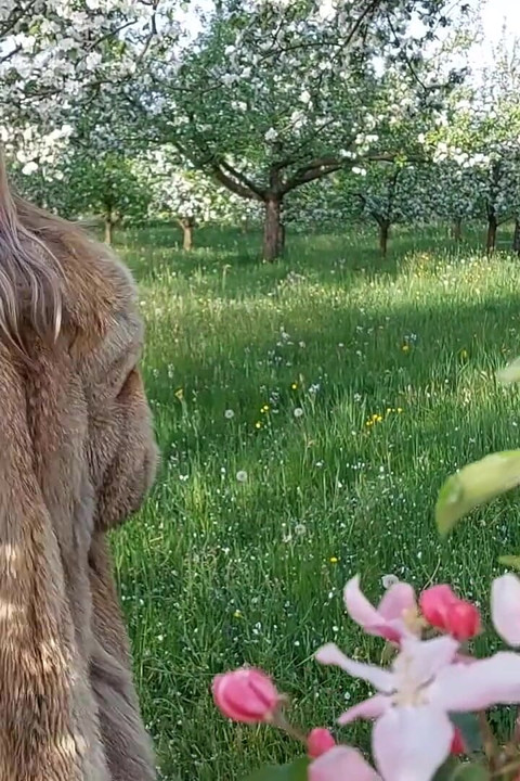 Wanita dewasa berjalan di luar dengan bodysuit tembus pandang!