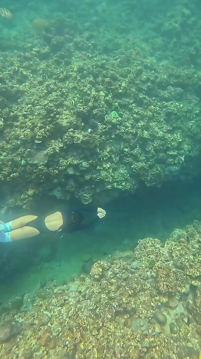 Eu sou sua pequena sereia