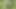 Fucked a Blonde In The Woods and Finished On Her Face