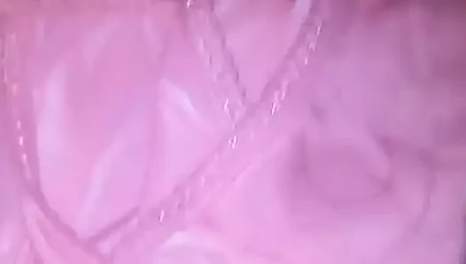 rosas nuevos