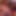 Sensual Surrender Feat Kiki Daire