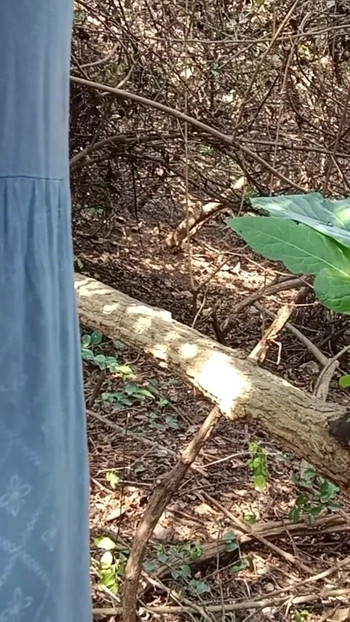 Indijska desi village svastika uživa u pušenju kurca u džungli | Klip 1