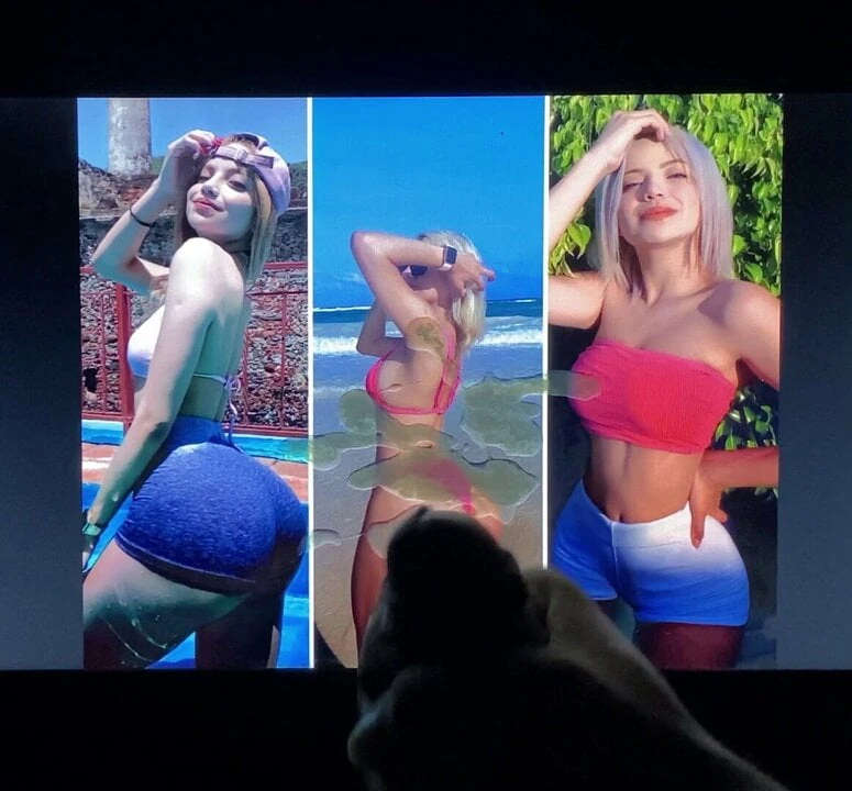 Ximena yaquin cum tributo