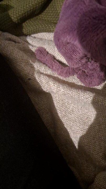 Göt destesi