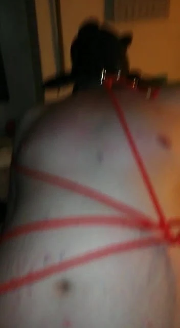 Sklavensau Schwanz handjob