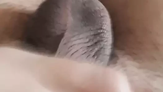 Kanepede