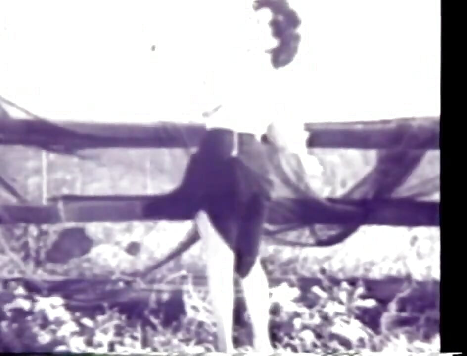 Striptis pirang liar vintage