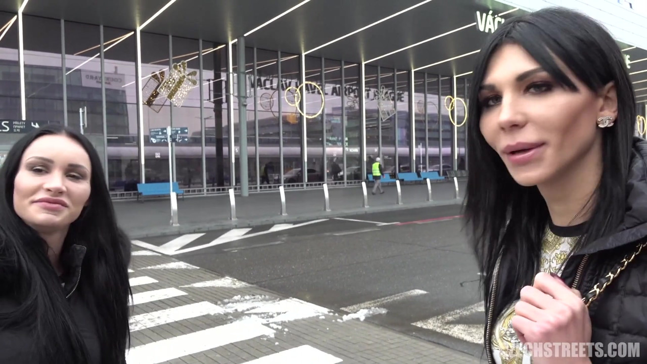 チェコの街 - ディックスとひよこ