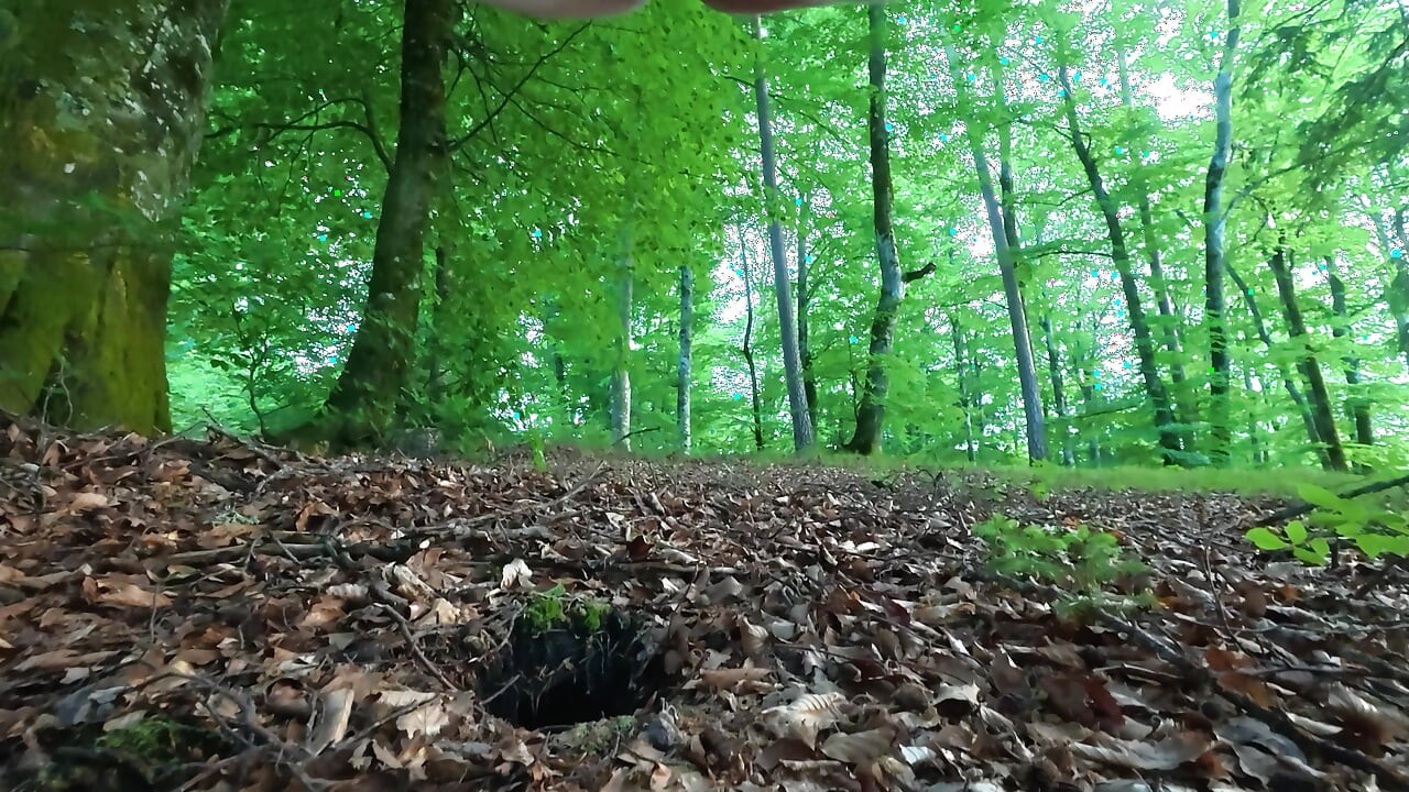 Un voyeur me vio orinar en el bosque. Le di una paja y se corrió en mi coño peludo.
