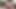 Big Booty Latina in Bikini Sophia Steele Fuckswhite Cock